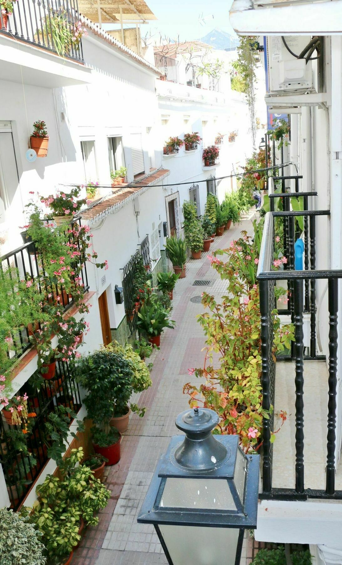 Hostal La Pilarica Marbella Ngoại thất bức ảnh