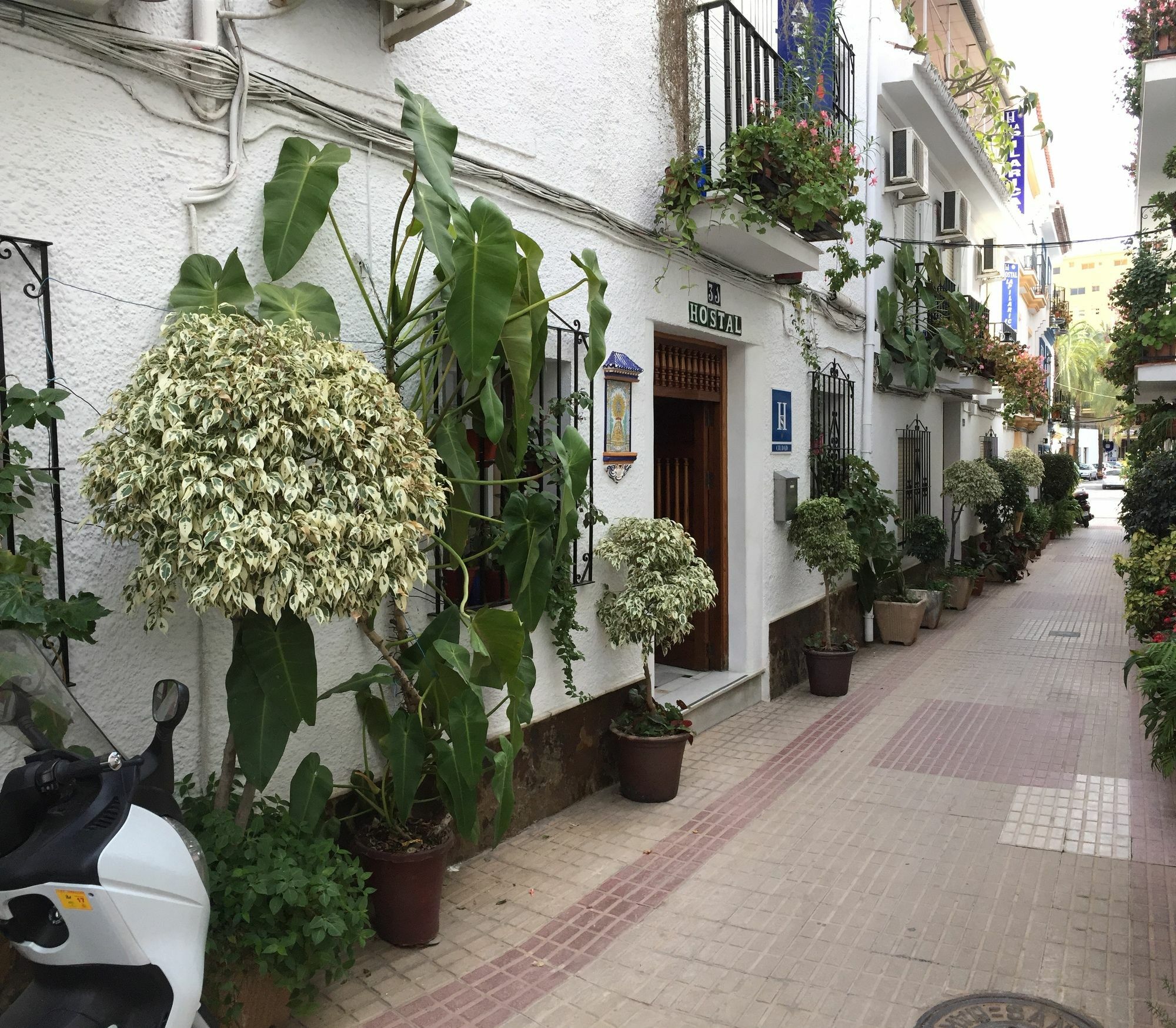 Hostal La Pilarica Marbella Ngoại thất bức ảnh